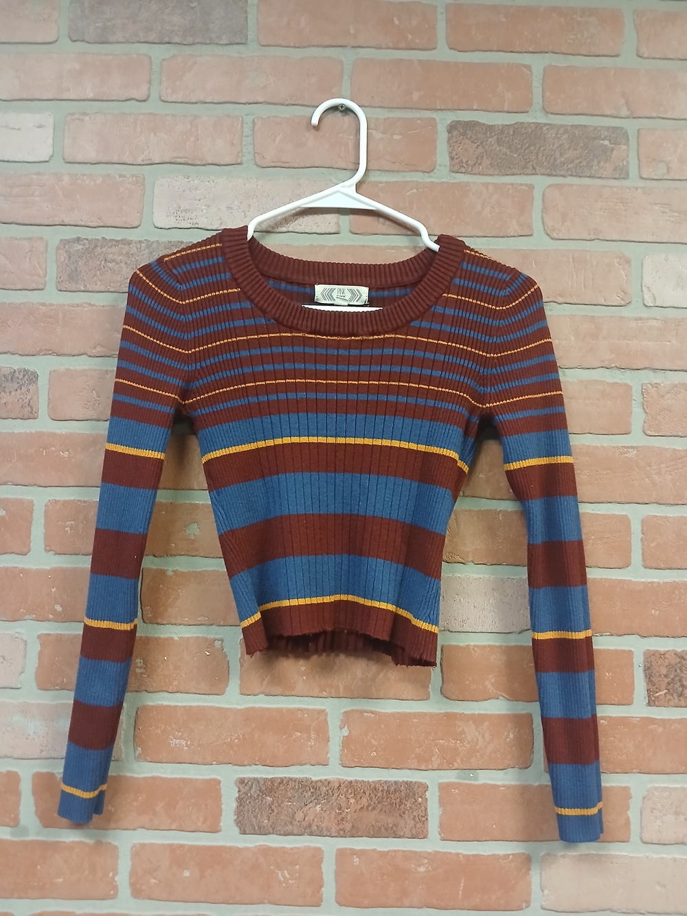 Pink Rose Blue, Brown & Yellow Striped Ribbed Long-Sleeve Crop Top